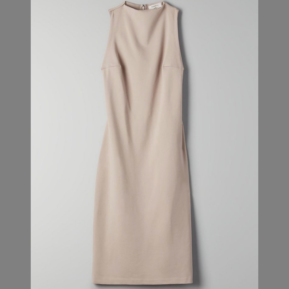 Aritzia Babaton Dress